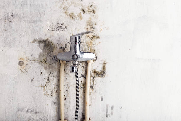Best Local Mold Removal Service  in Sunnyside Tahoe City, CA