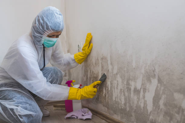 Best Mold Cleaning Services  in Sunnyside Tahoe City, CA