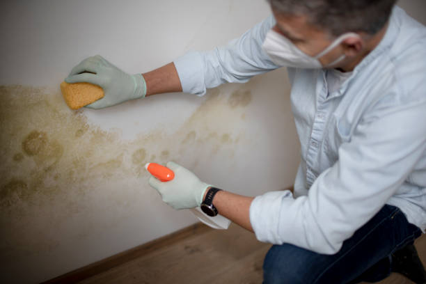 Best Mold Removal Near Me  in Sunnyside Tahoe City, CA